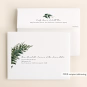 "Fresh Vines" - Wedding Thank You Cards in Fern by Susan Moyal - FREE Recipient Addressing