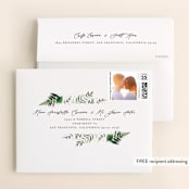 "Framed in Ferns" - Wedding Thank You Cards in Petal by Kristie Kern - FREE Recipient Addressing