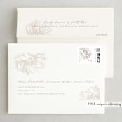 "Sophisticated" - Wedding Thank You Cards in Pearl by Kelly Schmidt - FREE Recipient Addressing