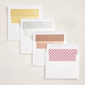 "Pick one" - Valentine's Day Cards in Flamingo by Susan Brown - Envelope Liner Options