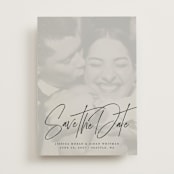 "Willow" - Vellum Overlays in Ink by Sandra Picco Design - Vellum with Card