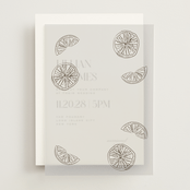"Garnish" - Vellum Overlays in Olive by Megan Davis - Front