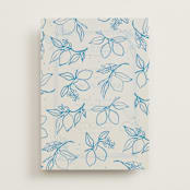 "Mediterraneo" - Vellum Overlays in Ocean by Pati Cascino - Vellum with Card