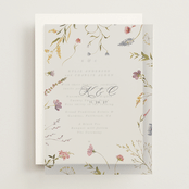 "Untied" - Vellum Overlays in Sherbert by Erin Hodges - Front