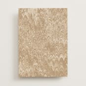"Book" - Vellum Overlays in Camel by Claire - Vellum with Card