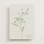 "Helena" - Vellum Overlays in Pistachio by Kate Ahn - Vellum with Card