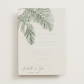 "Palm Arbor" - Vellum Overlays in Sage by Owl and Toad - Vellum with Card