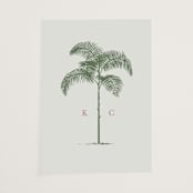 "Palm" - Vellum Overlays in Sage by Melinda Denison - Vellum Overlay