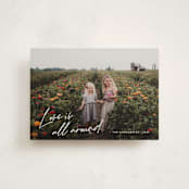 "Love is all Around script" - Valentine's Day Cards in Cloud by Jackie Crawford - Front
