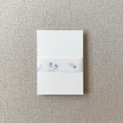 "Oysters Watercolor Vellum Belly Band | For 5x7" Invitations | Set of 10" - Belly Bands in blue by Cotton and Bow