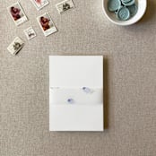 "Oysters Watercolor Vellum Belly Band | For 5x7" Invitations | Set of 10" - Belly Bands in blue by Cotton and Bow