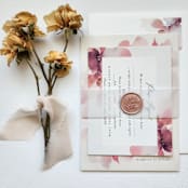 "1.5" x 11" Pre-Folded Vellum Jacket for 5"x7" Invitations, Set of 10" - Belly Bands in natural by MC silverlinings