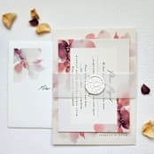 "1.5" x 11" Pre-Folded Vellum Jacket for 5"x7" Invitations, Set of 10" - Belly Bands in natural by MC silverlinings