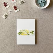 "Lemon Vellum Belly Band | For 5x7" Invitations | Set of 10" - Belly Bands in yellow by Cotton and Bow