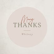 "My Favorite Things" - Baby Shower Stickers in Gumdrop by Joanna Griffin - Close-Up