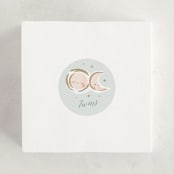 "Twin Stars" - Baby Shower Stickers in Sky by Lori Wemple - For Scale