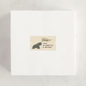 "Little Explorer" - Baby Shower Stickers in Butter by Jenna Holcomb - For Scale
