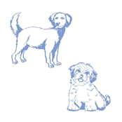 "Custom Dog Line Drawing Icon" - Commissioned Design Element in blue by Teju Reval