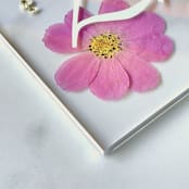"Silver-Lined Pressed Flower Table Number, Pink" - Table Numbers in white by Jasmine Jhunjhnuwala