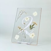 "Gold-Lined Pressed Flower Table Number, White" - Table Numbers in gold by Jasmine Jhunjhnuwala