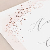 "Sparkling Champagne" - Wedding Programs in Blush by Kristie Kern - Detail