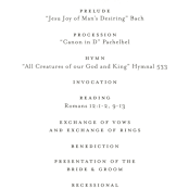 "Watercolor Floral" - Wedding Programs in Fog by Jill Means - Detail