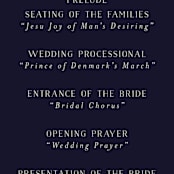 "Wedding Enchantment" - Wedding Programs in Midnight by Chris Griffith - Detail