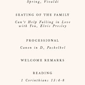 "Astor" - Wedding Programs in Blush by Carly Reed Walker - Detail