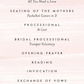 "Effervescent" - Wedding Programs in Blush by Kristie Kern - Detail