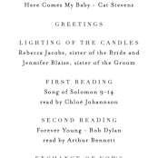 "The Minimalist" - Wedding Programs in Pearl by Kelly Schmidt - Detail