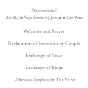 "Modern Brush" - Wedding Programs in Steel Blue by Lisa Guerrero - Detail