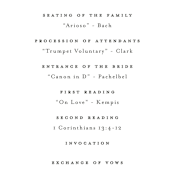 "In Love" - Wedding Programs in Ink by Carolyn MacLaren - Detail