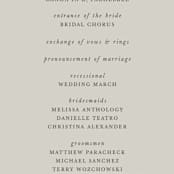 "Modern Mountain" - Wedding Programs in Fog by Stephanie Biller - Detail