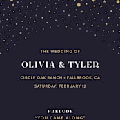 "Magical Day" - Wedding Programs in Navy by katrina gem - Detail