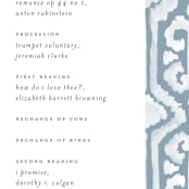 "Painted Ikat" - Wedding Programs in Frost by Liz Conley - Detail