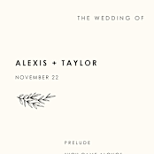 "Modern Bliss" - Wedding Programs in Cream by Elly - Detail