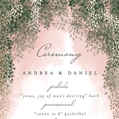 "veil sweet" - Wedding Programs in Blush by Cass Imagines - Detail