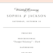 "Classical" - Wedding Programs in Blush by Michelle Taylor - Detail