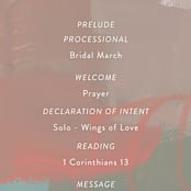 "gallery" - Wedding Programs in Mojito by Lindsay Megahed - Detail