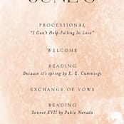 "Swept" - Wedding Programs in Blush by Snow and Ivy - Detail