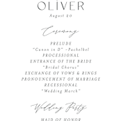 "Violet Cascade" - Wedding Programs in Violet by Nicoletta Savod - Detail