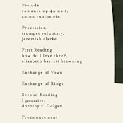 "Warner" - Wedding Programs in Emerald by Carrie ONeal - Detail