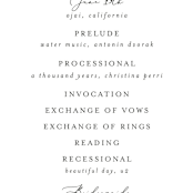 "Botanical Swag" - Wedding Programs in Periwinkle by Susan Moyal - Detail