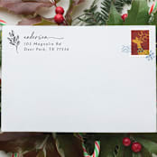 "Christmas Address Stamp | Self Inking Return Address Stamp" - Address Stamps in black by Samantha Malvey