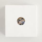 "The Big Picture" - Wedding Favor Stickers in Ivory by Minted - In use