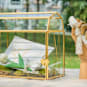 Hero Carousel