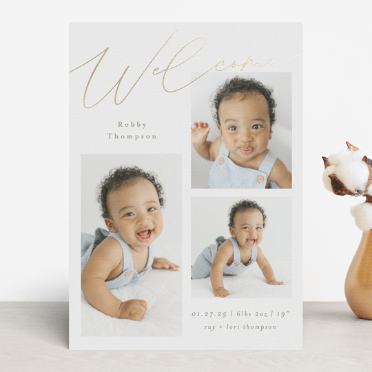 "Galleryish" - Birth Announcements in Snow by AK Graphics - Front
