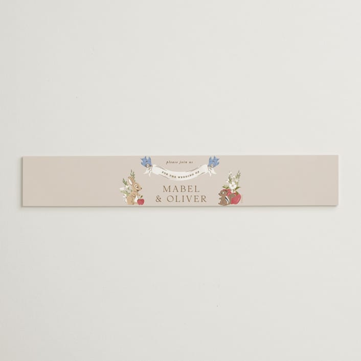 "Disney's Snow White Someday" - Belly Bands in Forest Floor by Erin L. Wilson - Assembled with Invitation