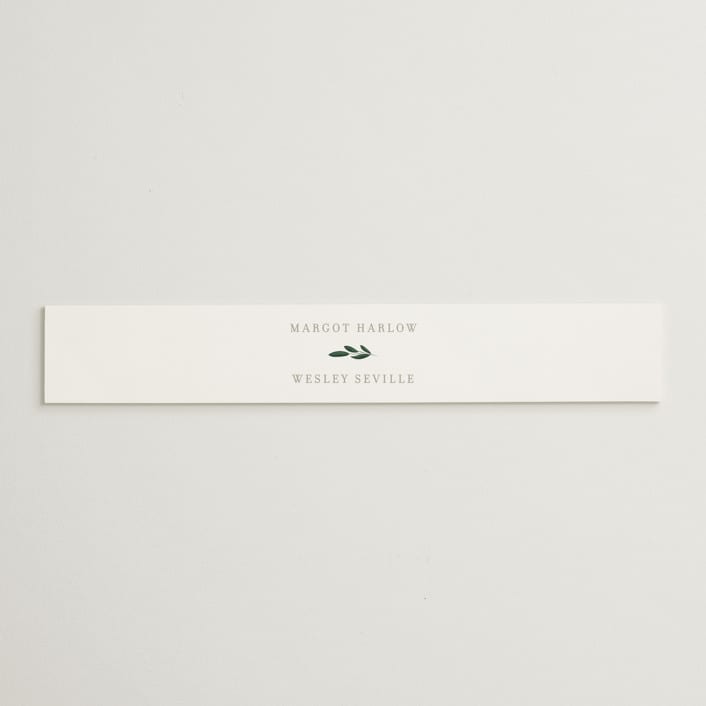 "Watermark" - Belly Bands in Cypress by Kaydi Bishop - Assembled with Invitation