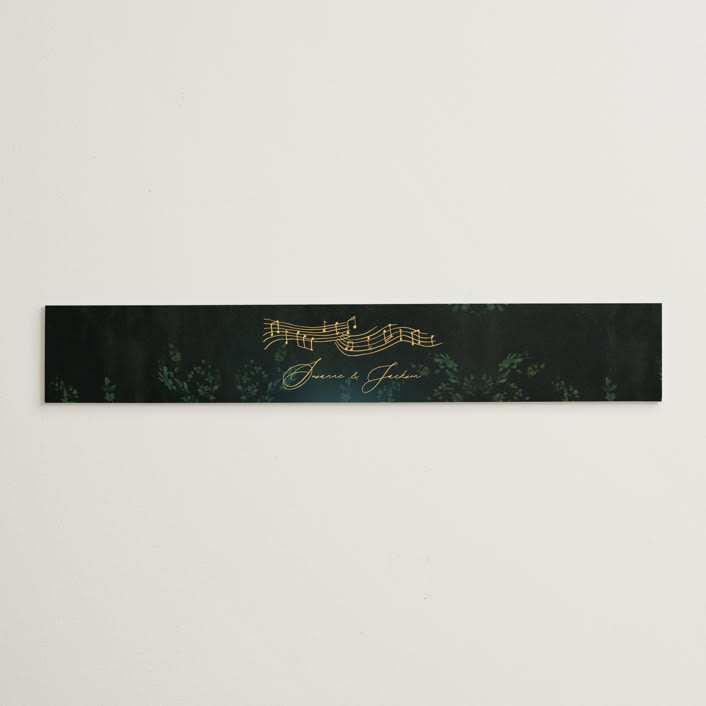 "New Orleans from Disney's Princess and The Frog" - Belly Bands in Mystic by Phrosné Barwood - Assembled with Invitation